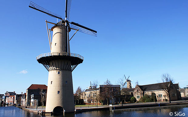 Die berühmten Windmühlen von Schiedam